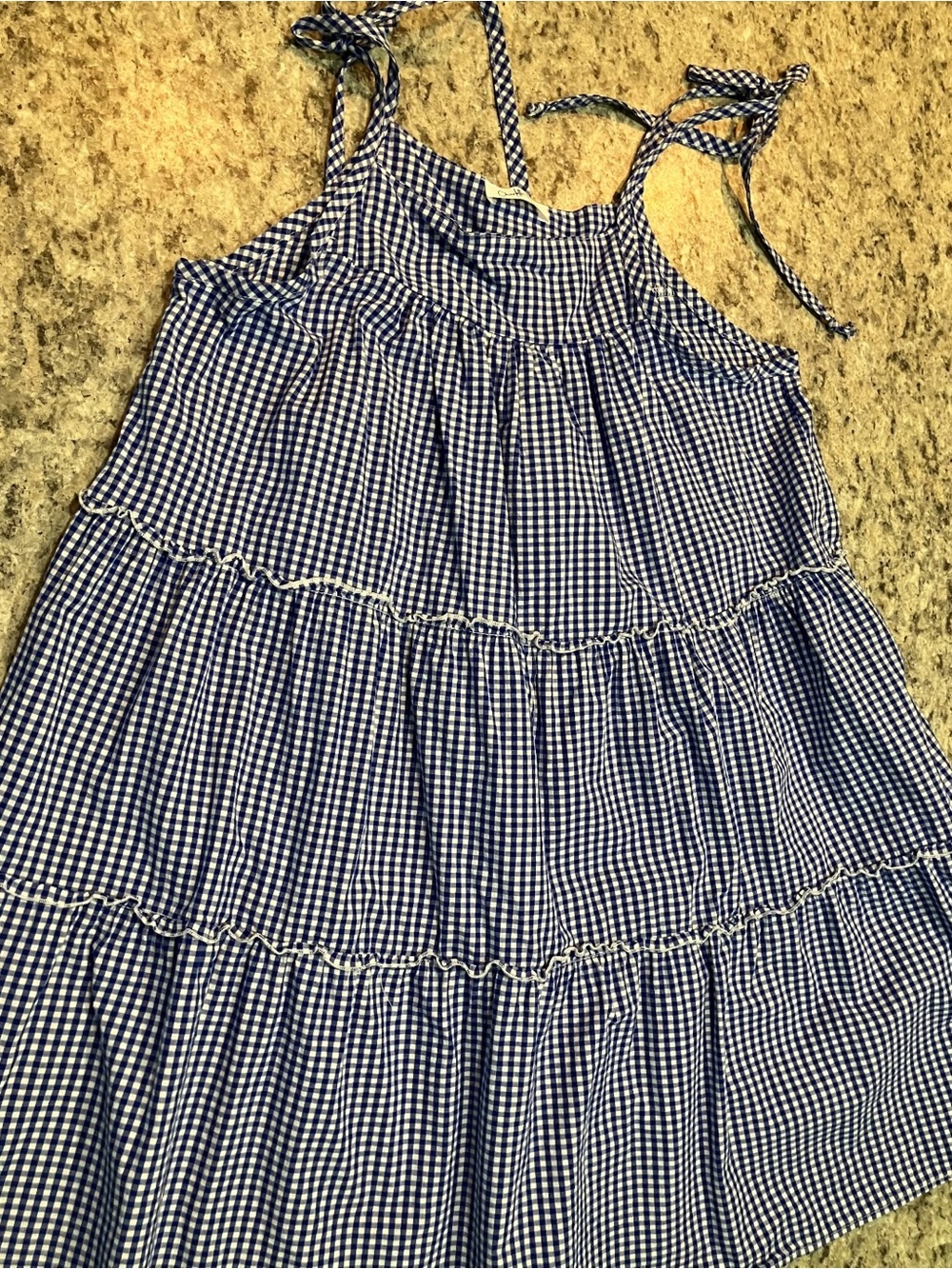 Francesca’s Charlotte Avery Blue Gingham Dress